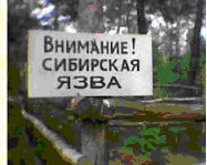 sib1.jpg