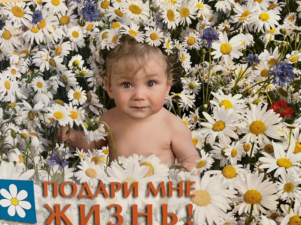 123.jpg 123.jpg